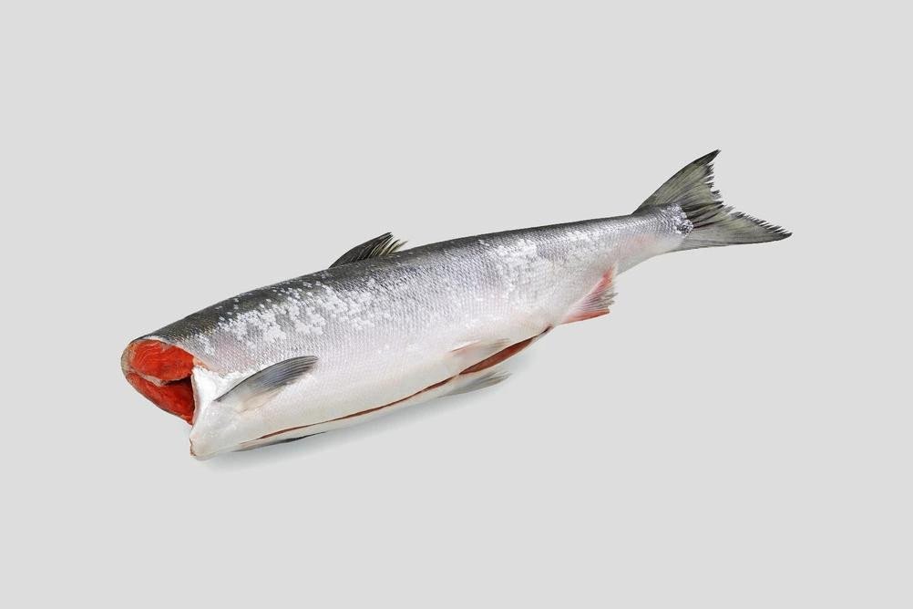 COHO SALMON DRESS