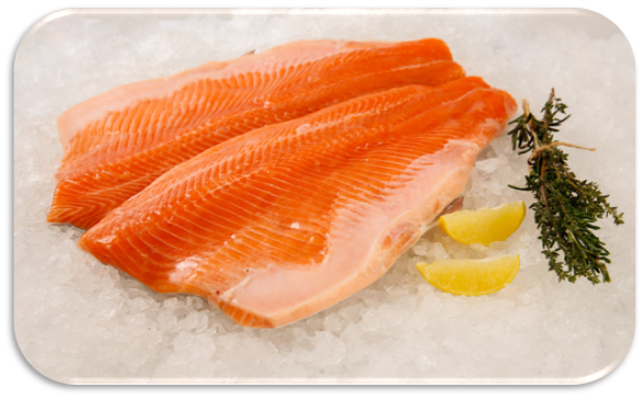 COHO SALMON TRIM B
