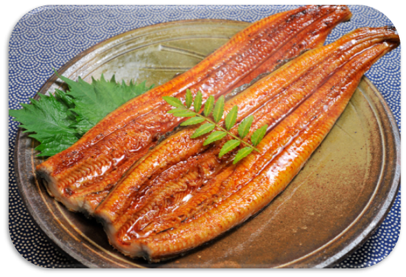 UNAGI KABAYAKI
