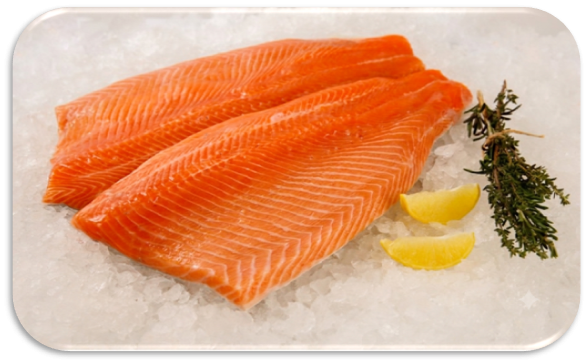 COHO SALMON TRIM C